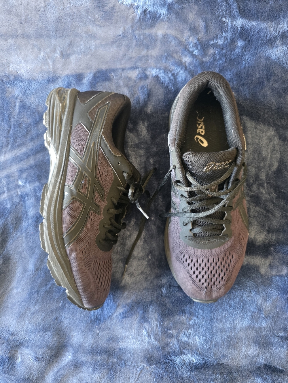ASICS Men's Running Shoes in Deep Plum and Black